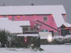 Photo of Bowgie Inn